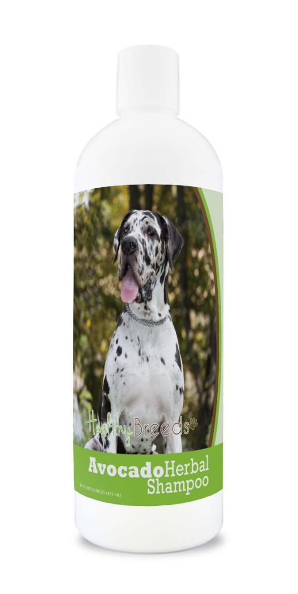 Great Dane Avocado Herbal Dog Shampoo
