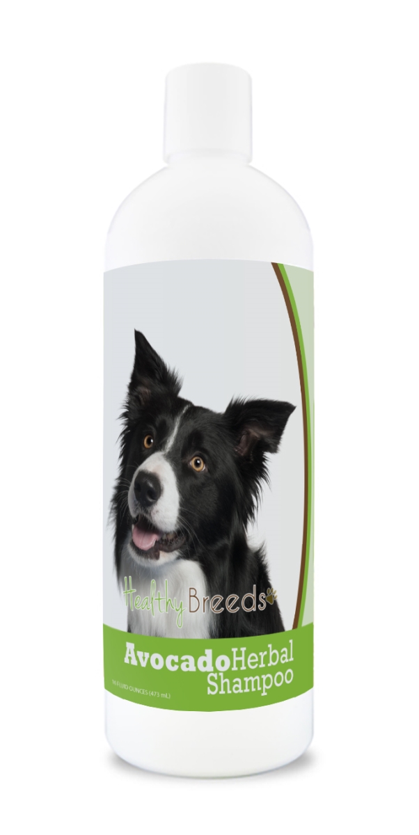 Border Collie Avocado Herbal Dog Shampoo
