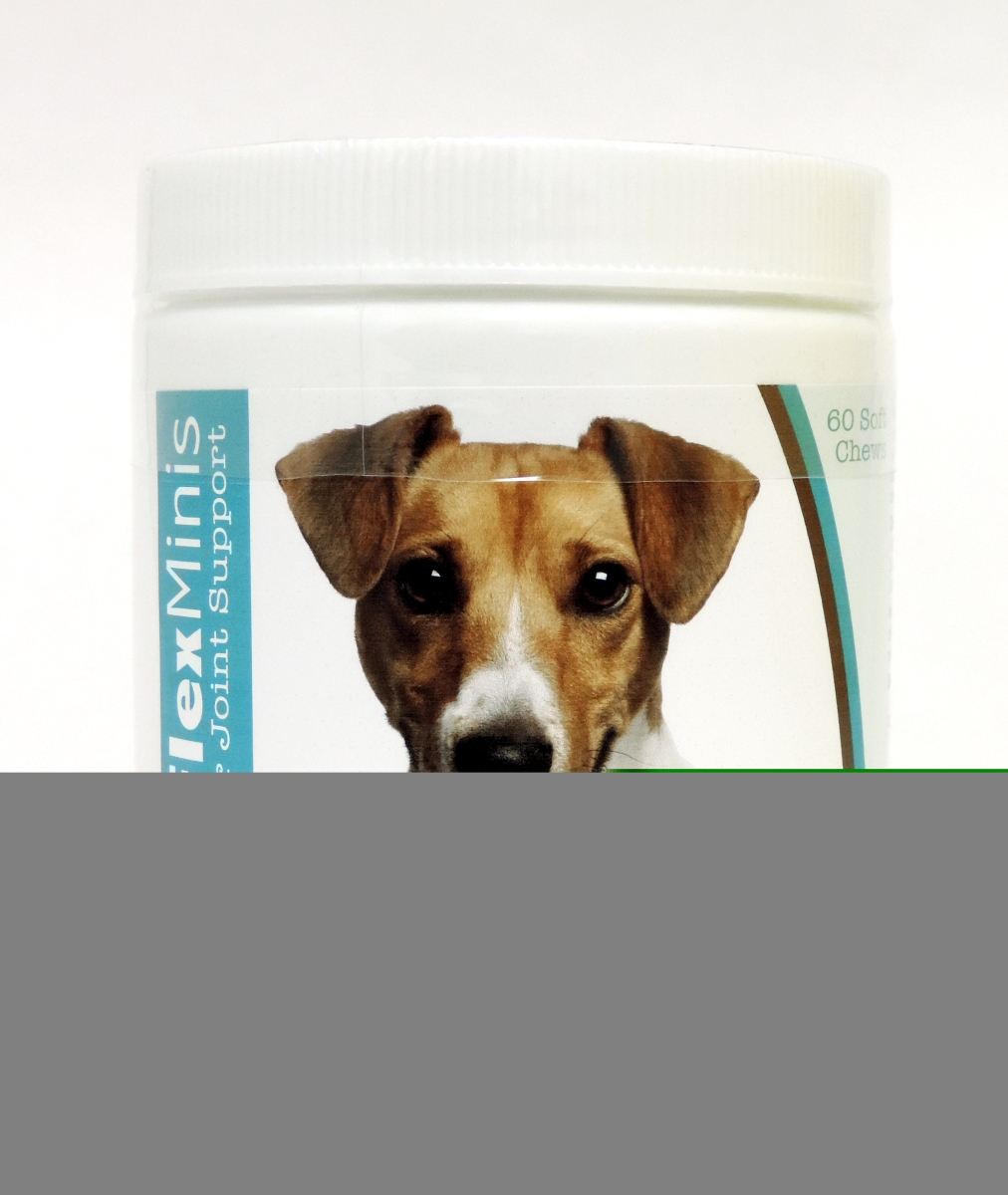 Picture of Healthy Breeds 840235117674 Jack Russell Terrier Z-Flex Minis Hip & Joint Support Soft Chews&#44; 60 Count