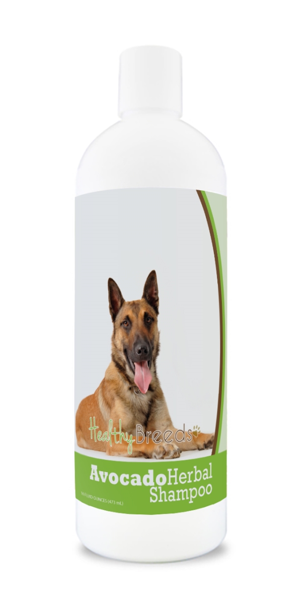 Belgian Malinois Avocado Herbal Dog Shampoo