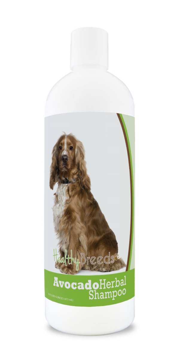 English Cocker Spaniel Avocado Herbal Dog Shampoo