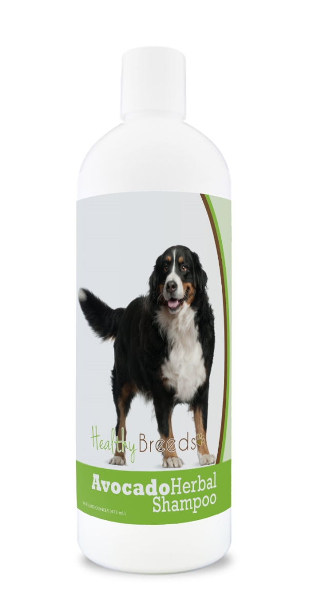 Bernese Mountain Dog Avocado Herbal Dog Shampoo