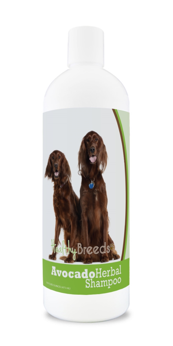Irish Setter Avocado Herbal Dog Shampoo