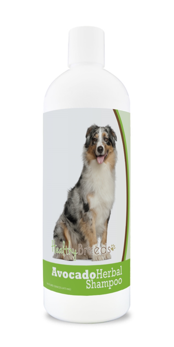 Australian Shepherd Avocado Herbal Dog Shampoo