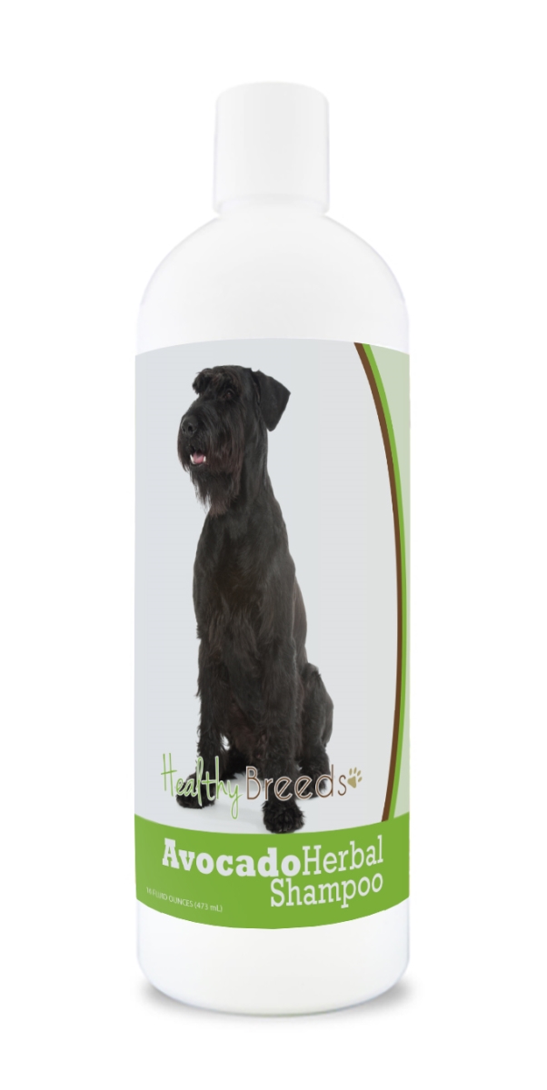 Giant Schnauzer Avocado Herbal Dog Shampoo