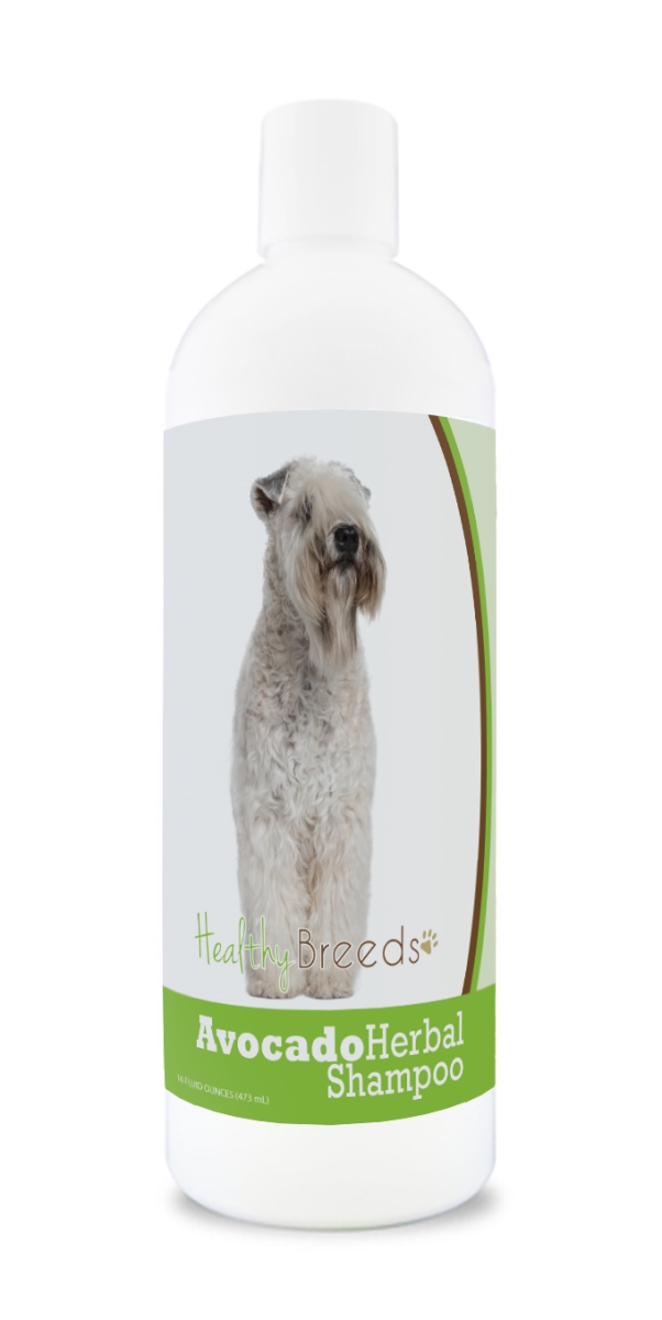 Soft Coated Wheaten Terrier Avocado Herbal Dog Shampoo