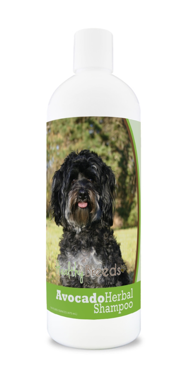 Maltipoo Avocado Herbal Dog Shampoo