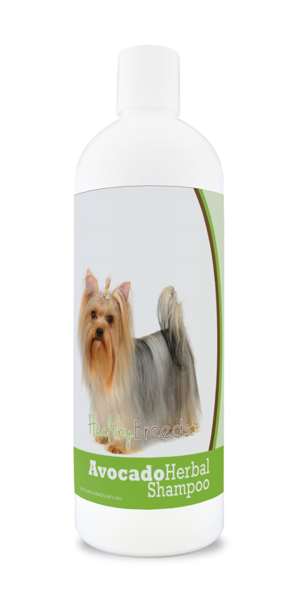Yorkshire Terrier Avocado Herbal Dog Shampoo