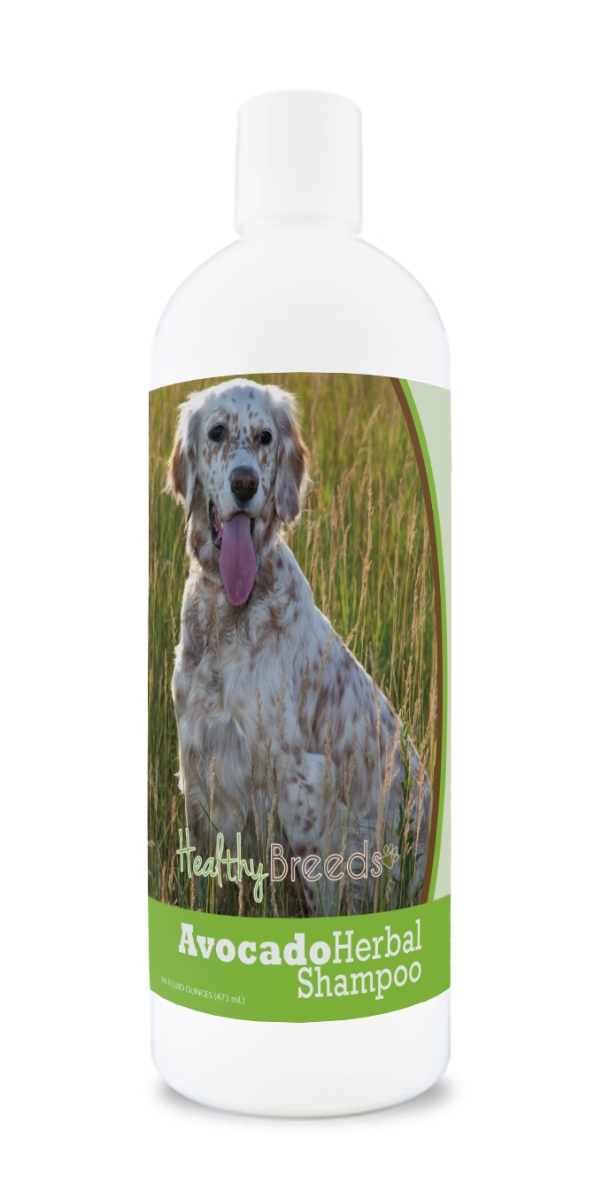 English Setter Avocado Herbal Dog Shampoo