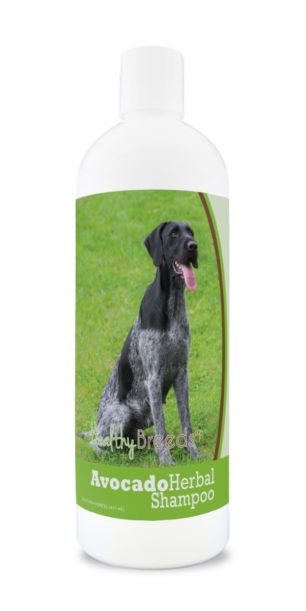 German Wirehaired Pointer Avocado Herbal Dog Shampoo
