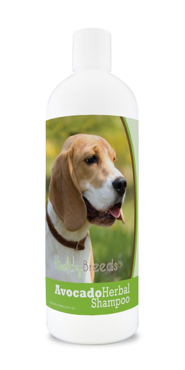 Beagle Avocado Herbal Dog Shampoo