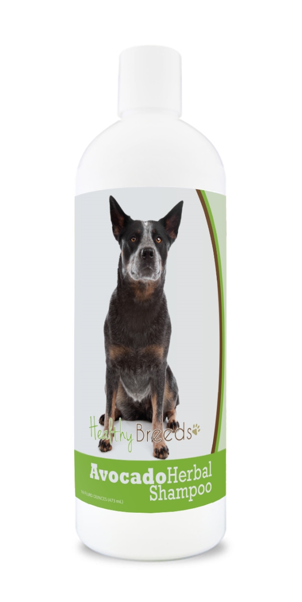 Australian Cattle Dog Avocado Herbal Dog Shampoo