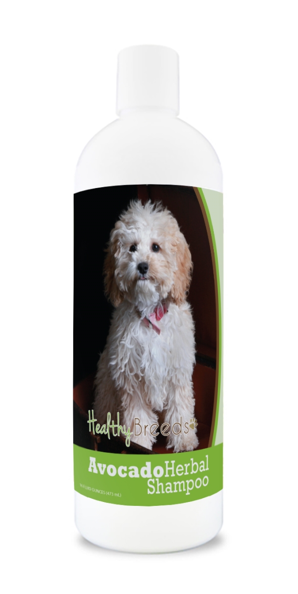 840235157199 Cockapoo Avocado Herbal Dog Shampoo