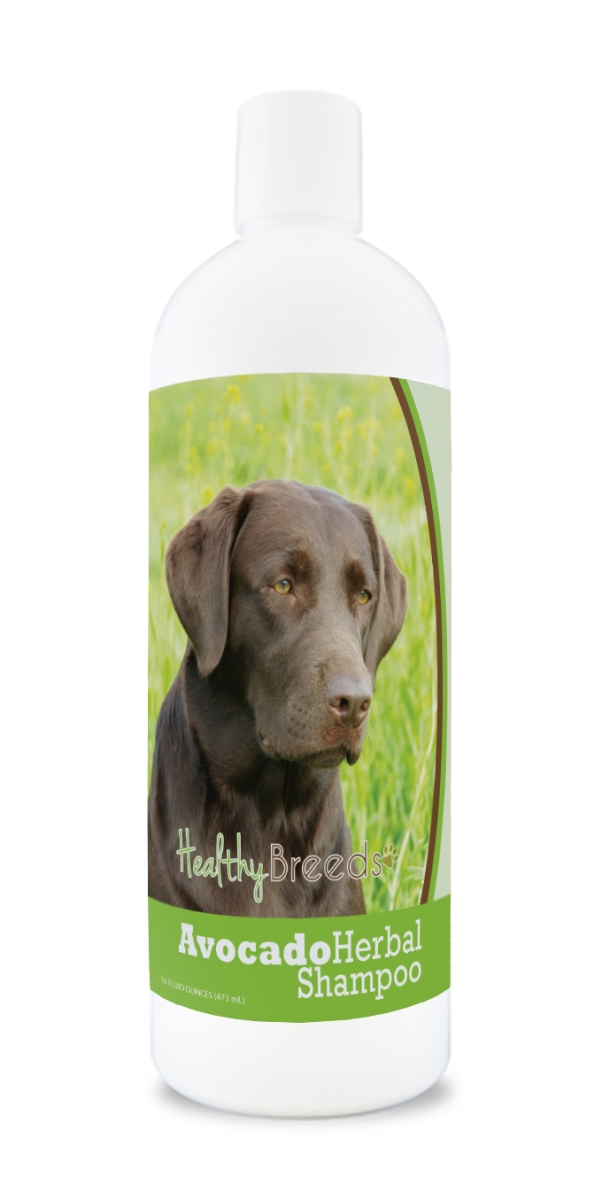 Labrador Retriever Avocado Herbal Dog Shampoo