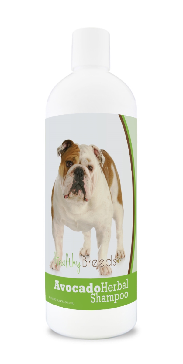 Bulldog Avocado Herbal Dog Shampoo