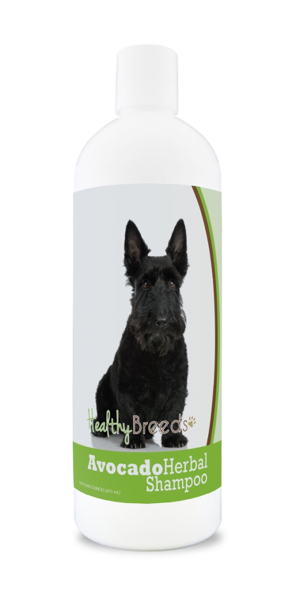 Scottish Terrier Avocado Herbal Dog Shampoo