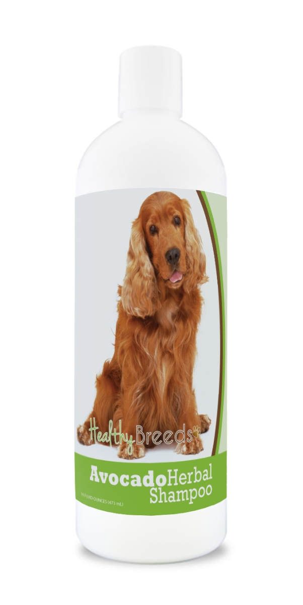 Cocker Spaniel Avocado Herbal Dog Shampoo
