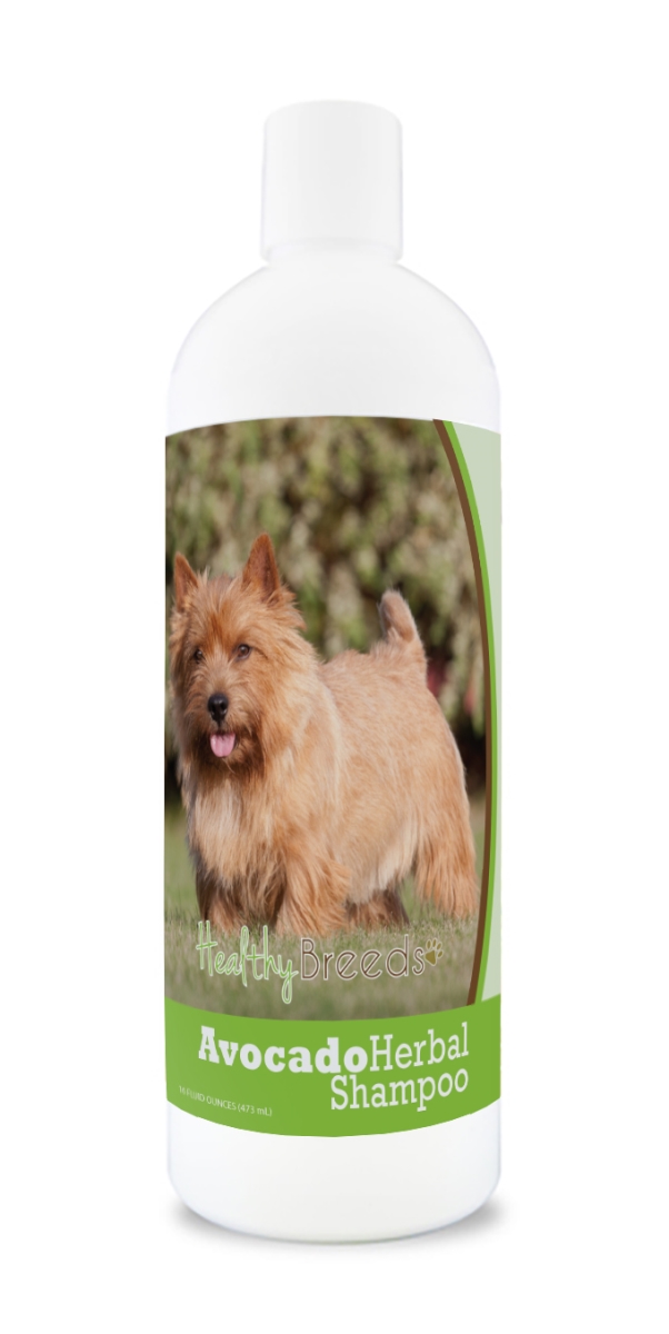 840235157335 Norwich Terrier Avocado Herbal Dog Shampoo