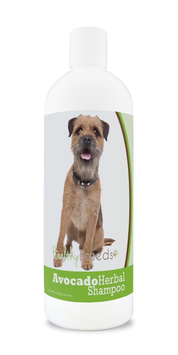 Border Terrier Avocado Herbal Dog Shampoo