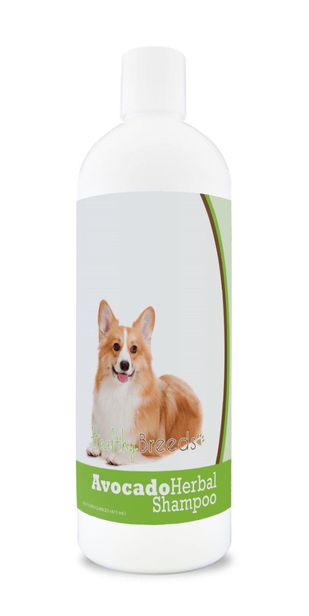 Pembroke Welsh Corgi Avocado Herbal Dog Shampoo