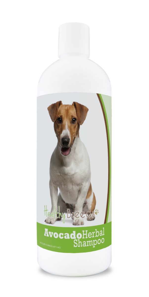 Jack Russell Terrier Avocado Herbal Dog Shampoo