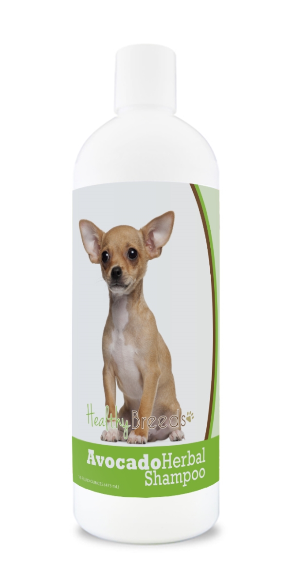 Chihuahua Avocado Herbal Dog Shampoo