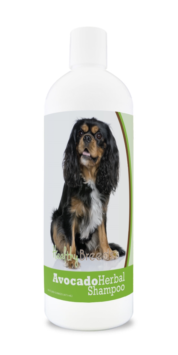 Cavalier King Charles Spaniel Avocado Herbal Dog Shampoo