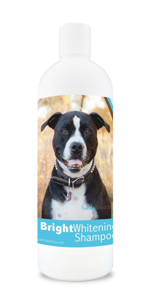 840235117742 12 oz Pit Bull Bright Whitening Shampoo