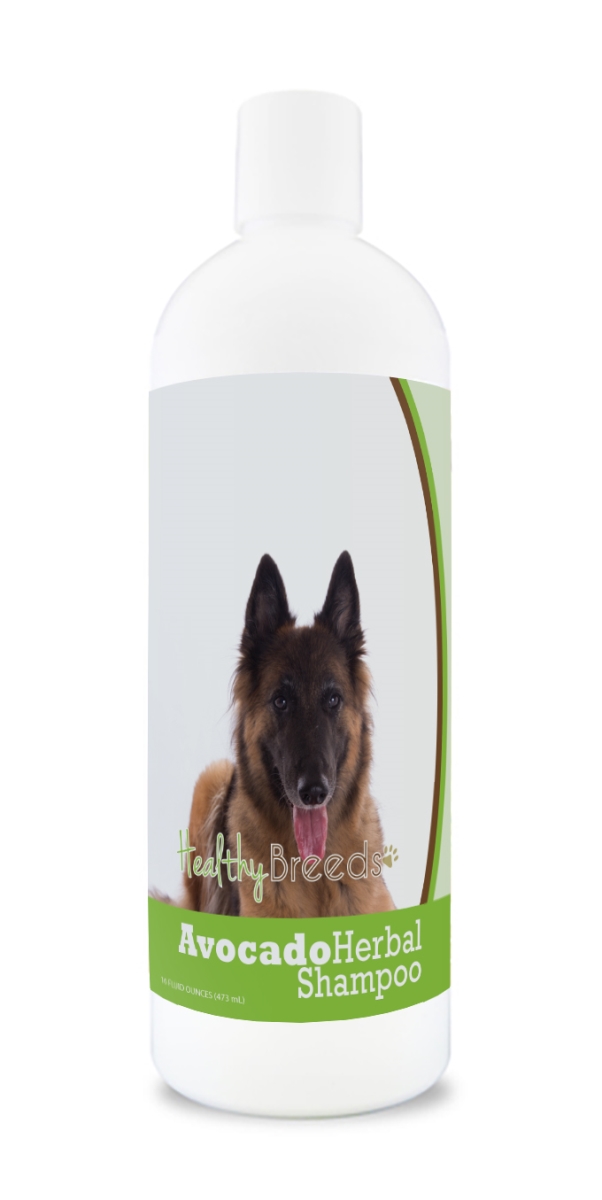 Belgian Tervuren Avocado Herbal Dog Shampoo