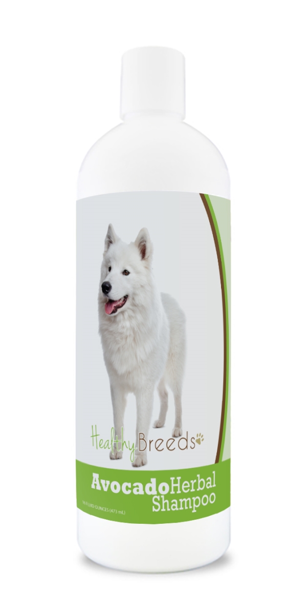 Samoyed Avocado Herbal Dog Shampoo