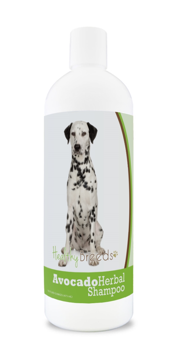 Dalmatian Avocado Herbal Dog Shampoo