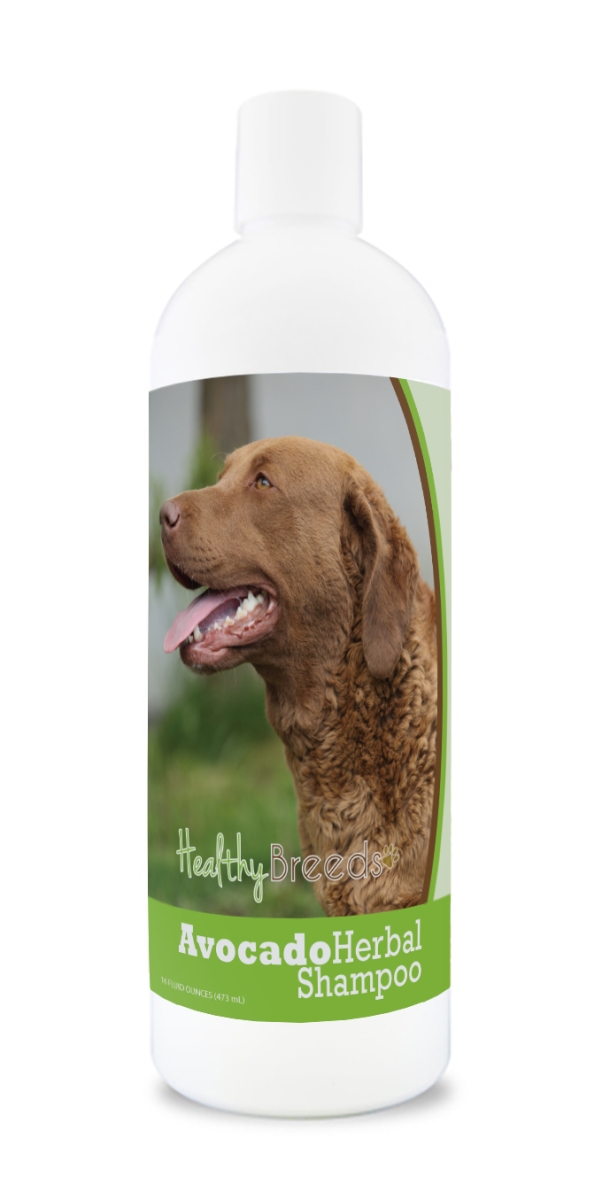 Chesapeake Bay Retriever Avocado Herbal Dog Shampoo