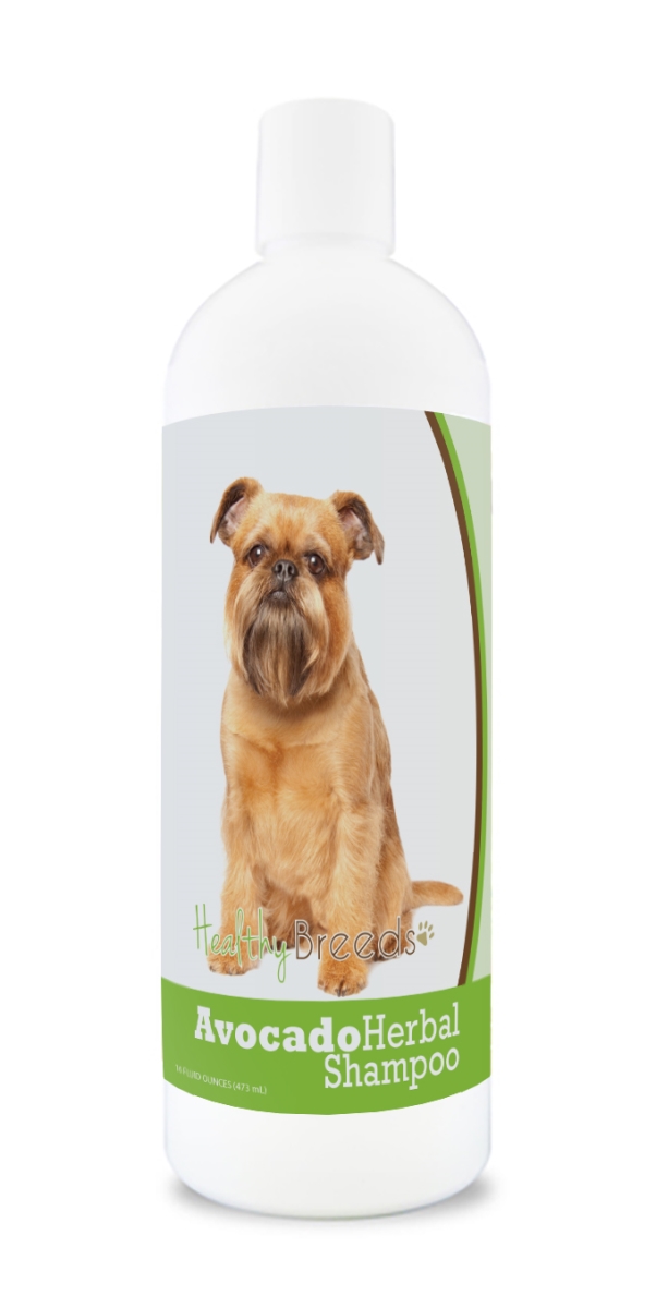 840235157557 Brussels Griffon Avocado Herbal Dog Shampoo