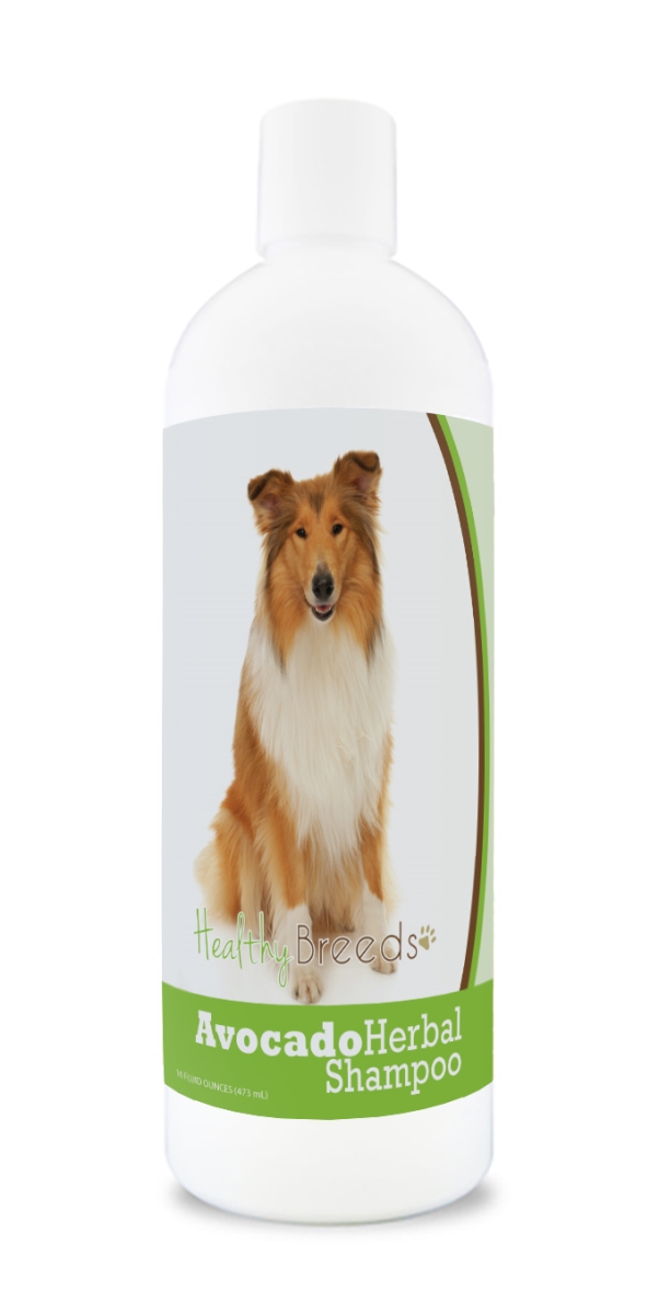 Collie Avocado Herbal Dog Shampoo
