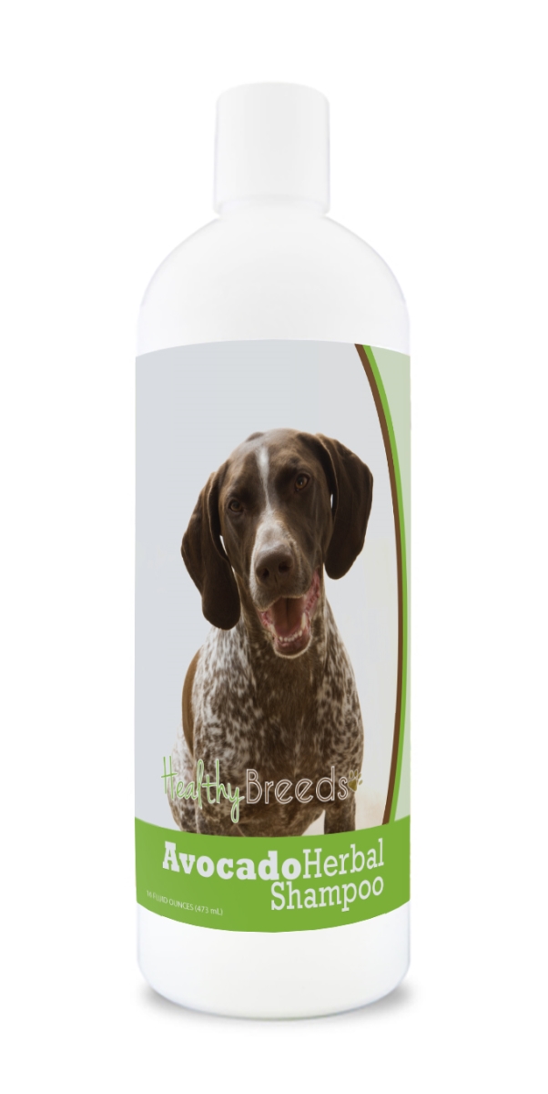 German Shorthaired Pointer Avocado Herbal Dog Shampoo