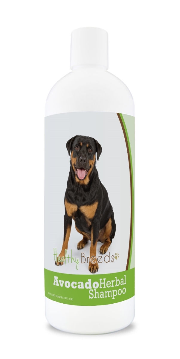 Rottweiler Avocado Herbal Dog Shampoo