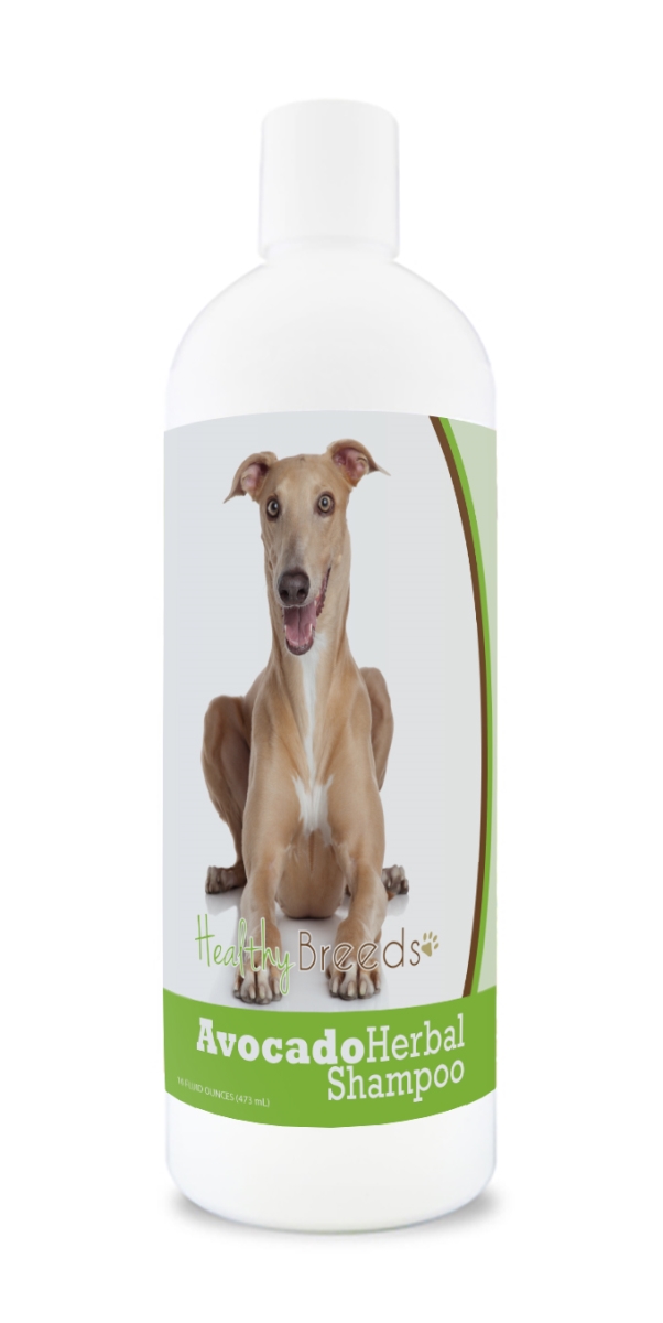 Italian Greyhound Avocado Herbal Dog Shampoo