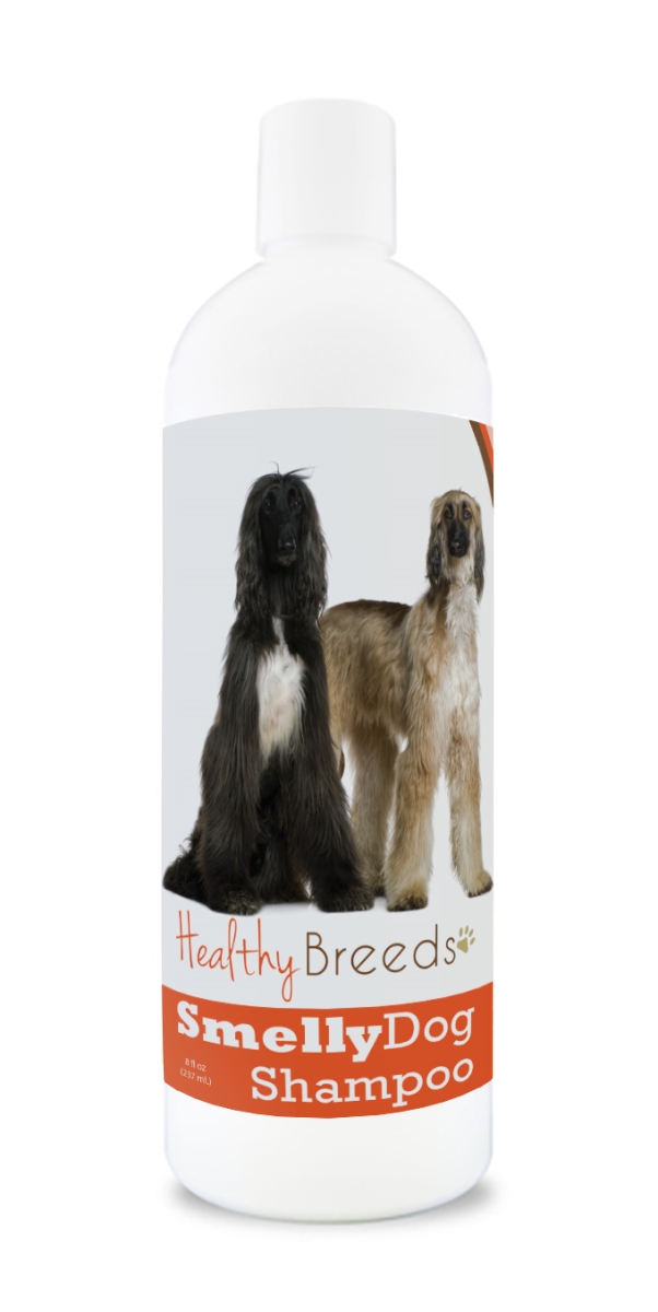 Afghan Hound Smelly Dog Baking Soda Shampoo
