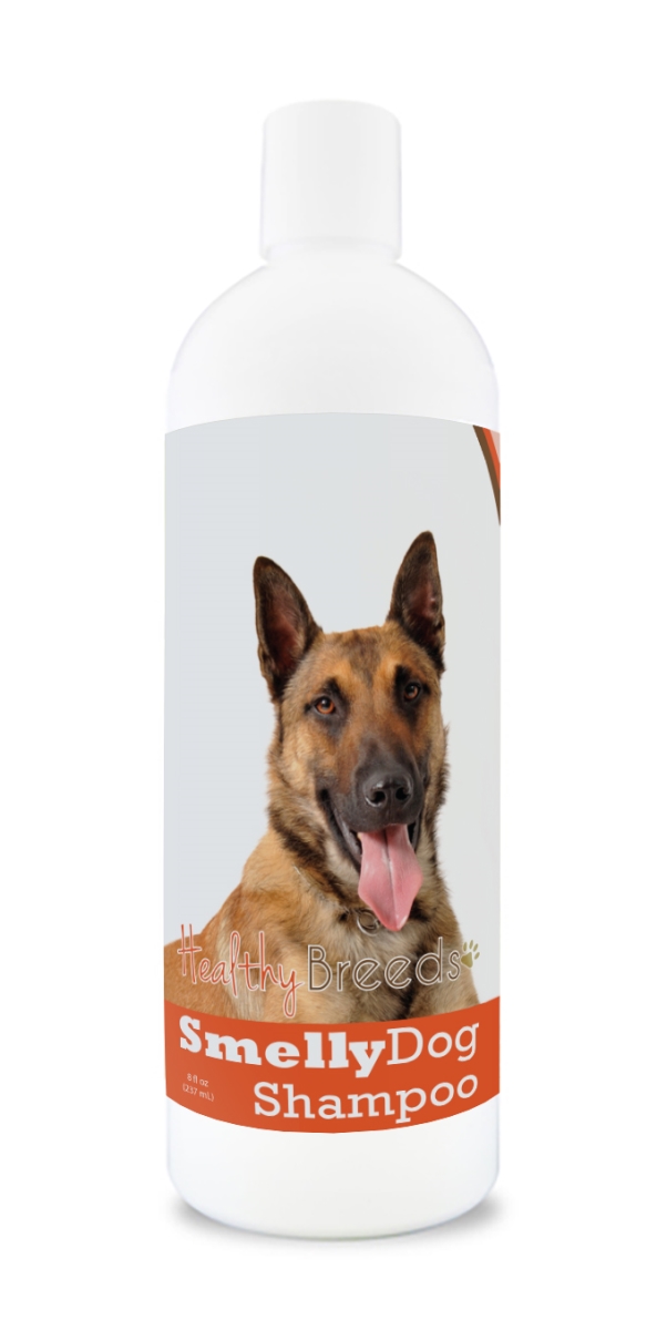 Belgian Malinois Smelly Dog Baking Soda Shampoo