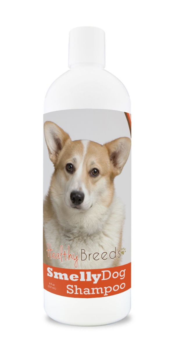 Cardigan Welsh Corgi Smelly Dog Baking Soda Shampoo