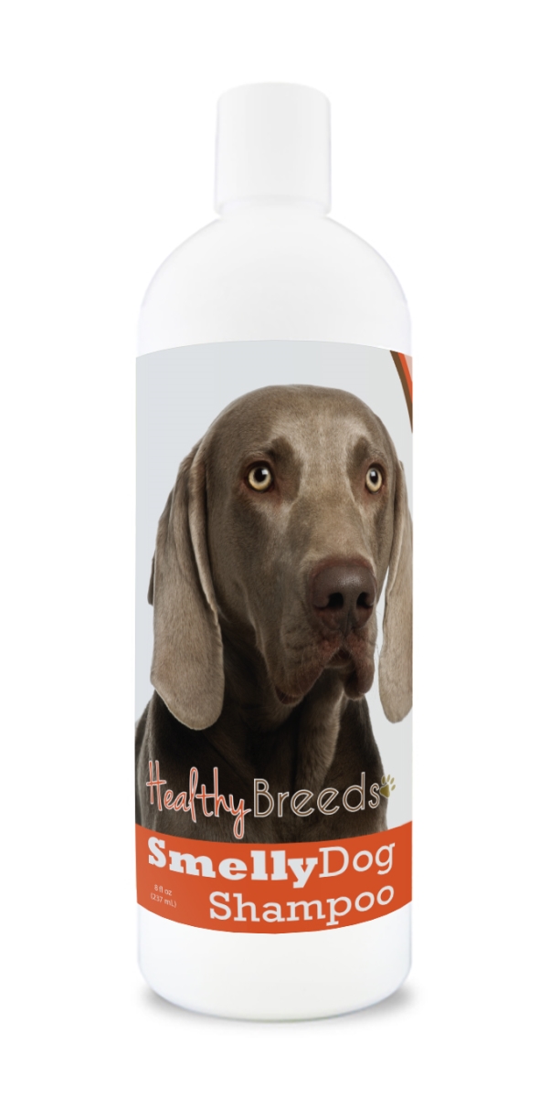 Weimaraner Smelly Dog Baking Soda Shampoo