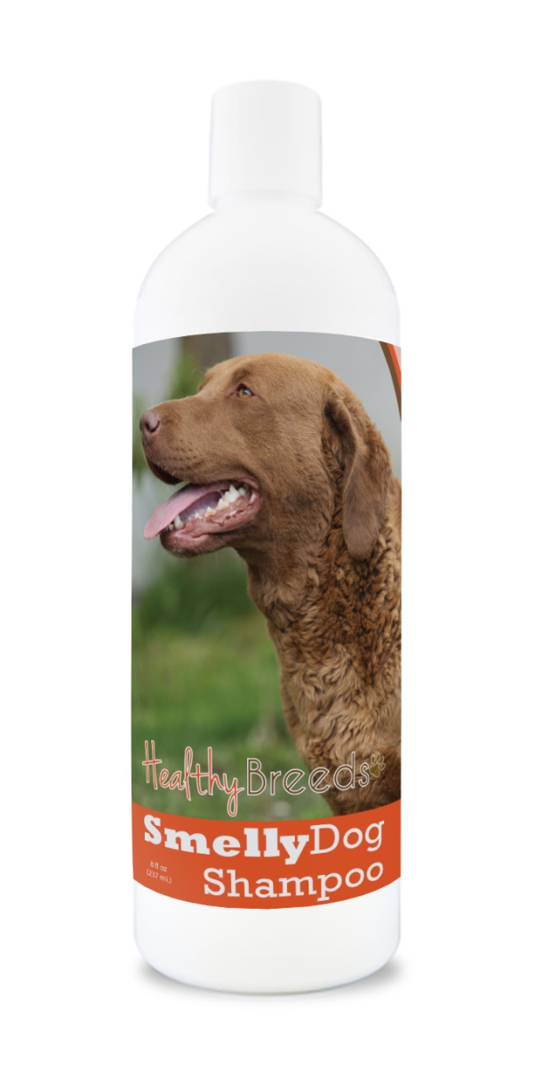Chesapeake Bay Retriever Smelly Dog Baking Soda Shampoo