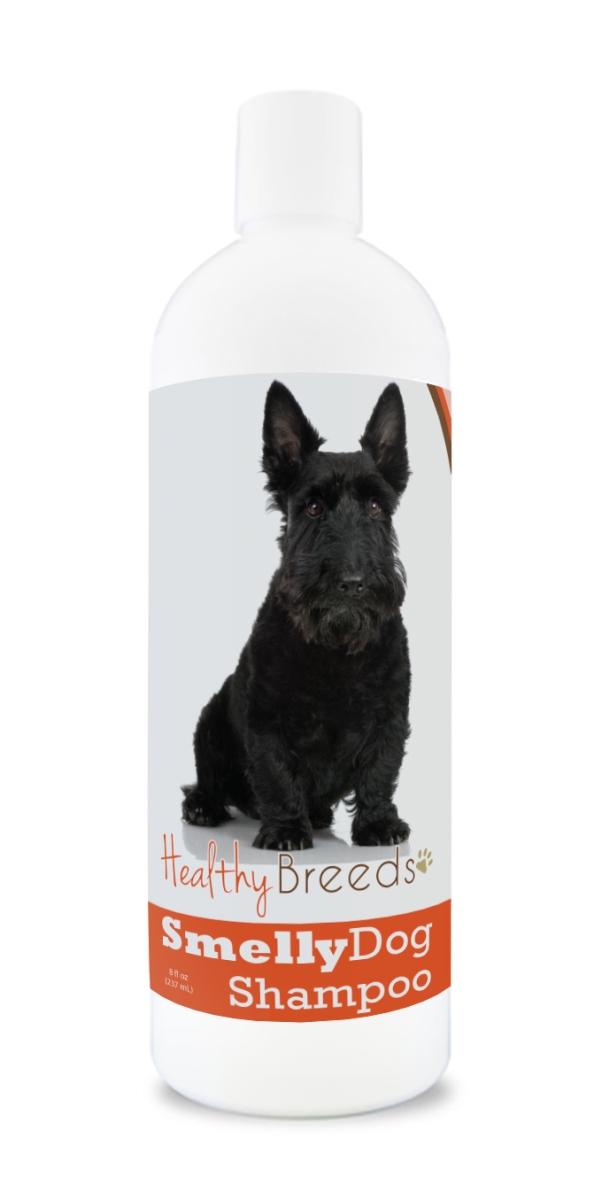 Scottish Terrier Smelly Dog Baking Soda Shampoo