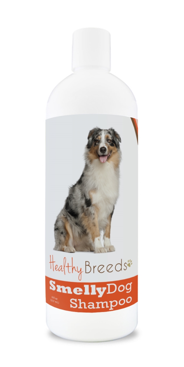 Australian Shepherd Smelly Dog Baking Soda Shampoo