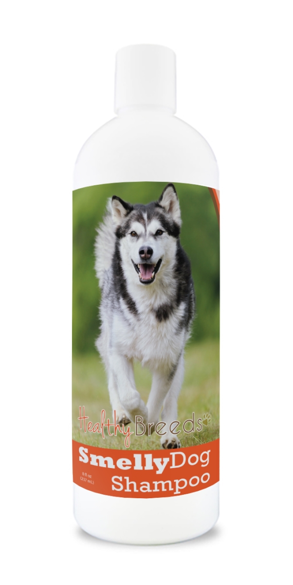 Alaskan Malamute Smelly Dog Baking Soda Shampoo