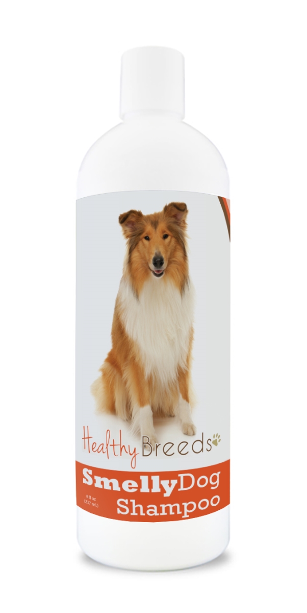 Collie Smelly Dog Baking Soda Shampoo