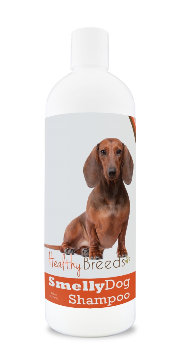 Dachshund Smelly Dog Baking Soda Shampoo