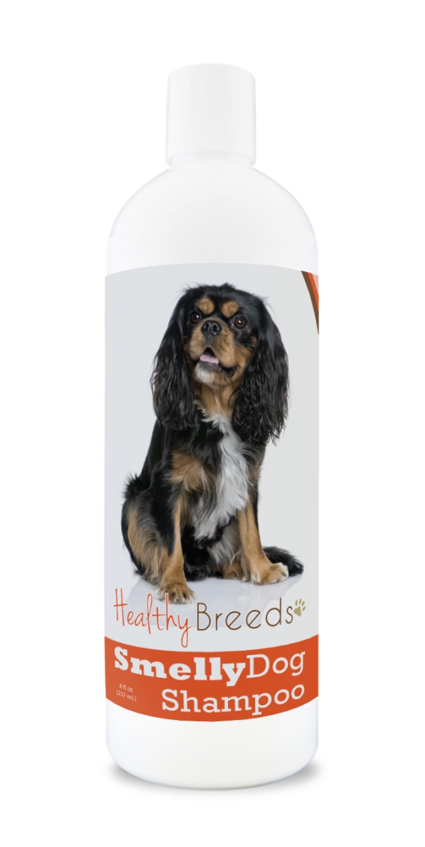 Cavalier King Charles Spaniel Smelly Dog Baking Soda Shampoo