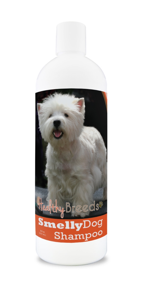 West Highland White Terrier Smelly Dog Baking Soda Shampoo