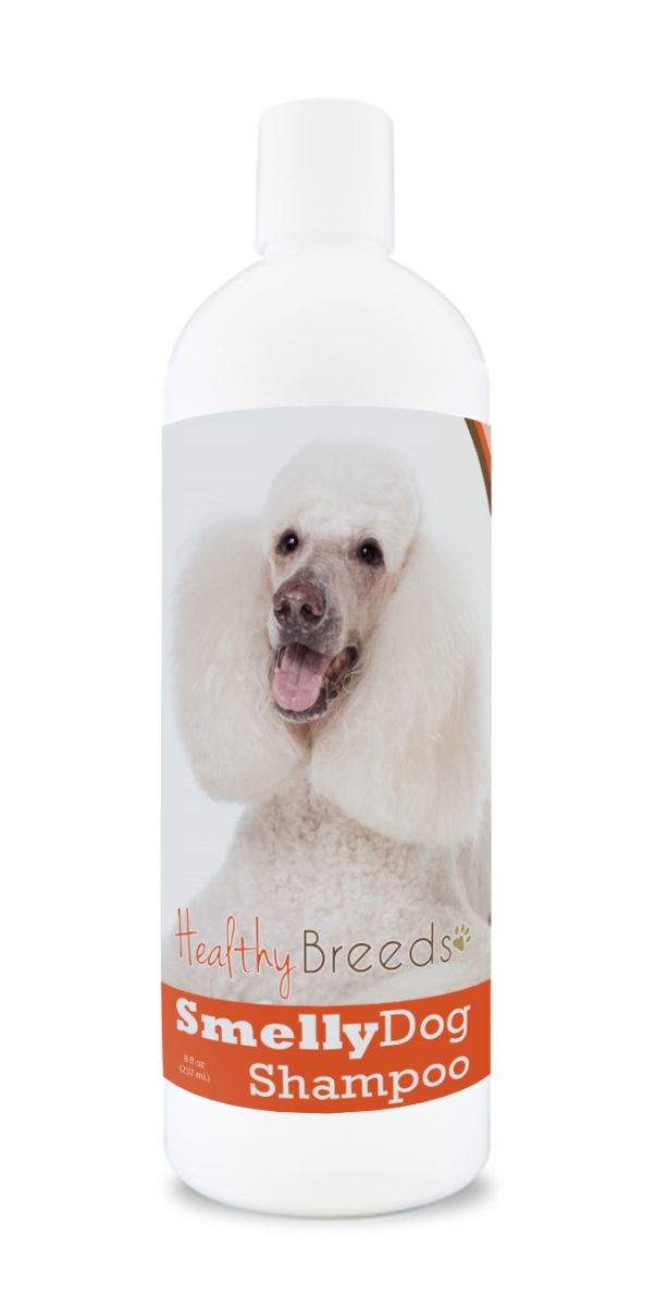 Poodle Smelly Dog Baking Soda Shampoo